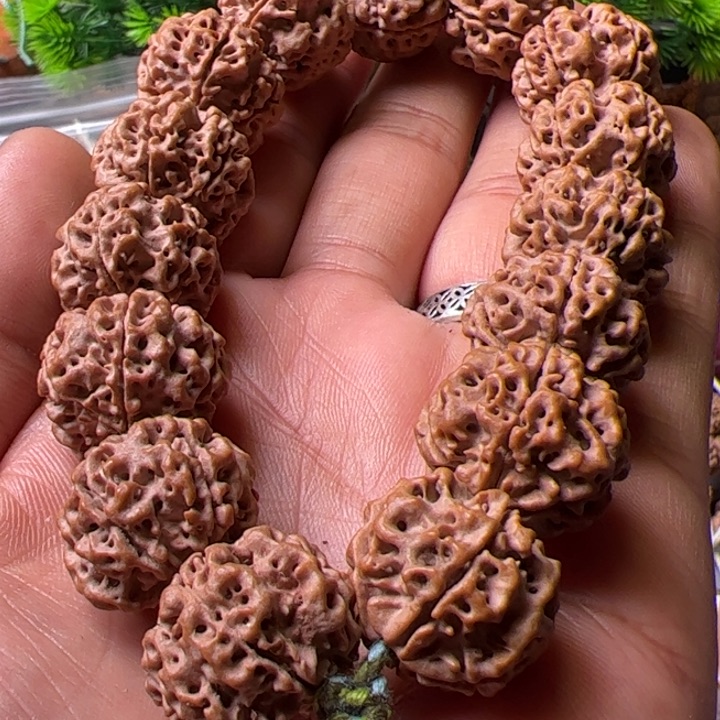 金刚菩提手串21雪山铁籽蜂窝