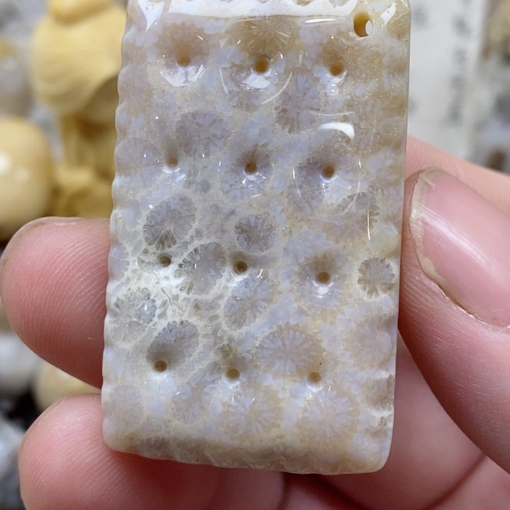 颈饰未镶嵌硅化珊瑚（珊瑚玉）