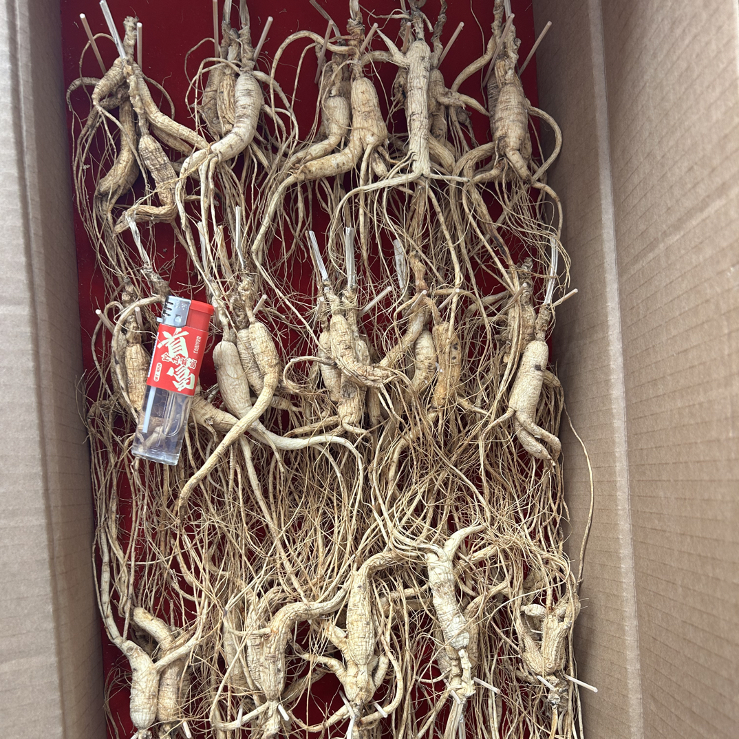 长白山人参林下人参（干品）