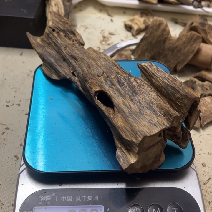 沉香沉香碎屑沉香，多样性发一