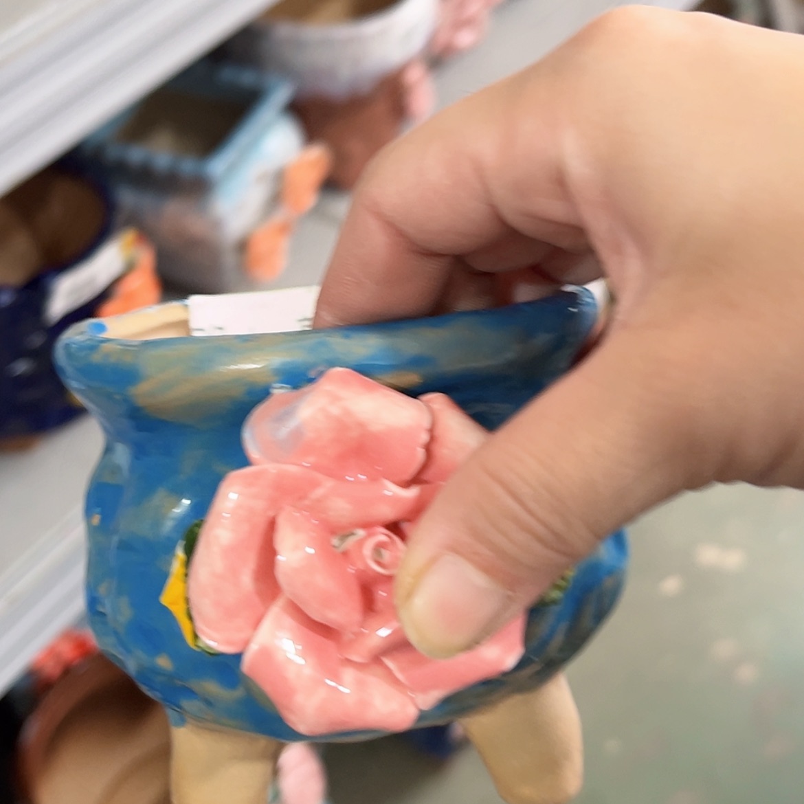 【闪购商品】红陶福利