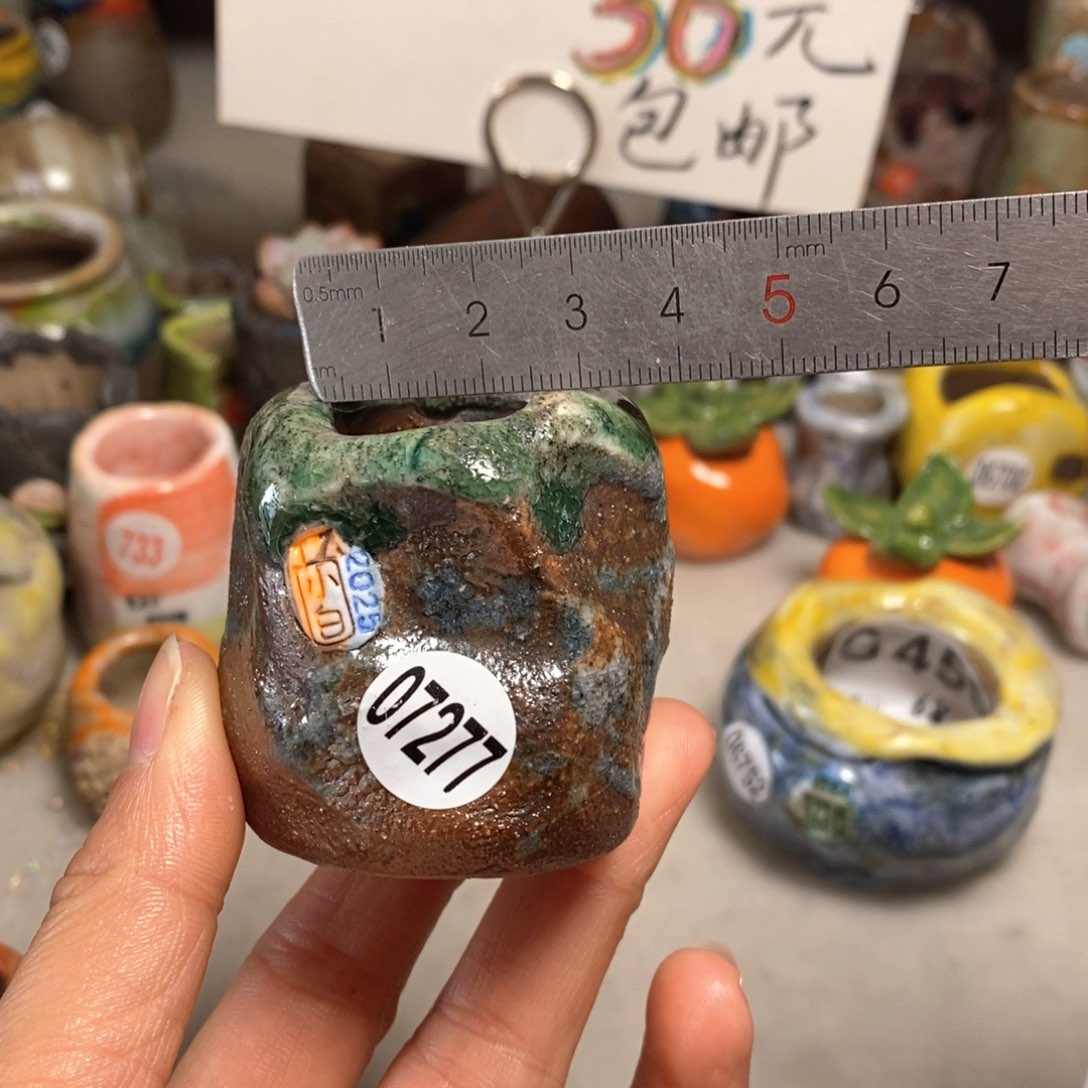 花盆拍3送一个小礼物 