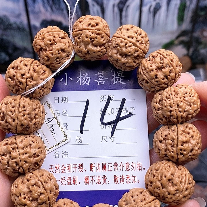 手串金刚菩提22游龙