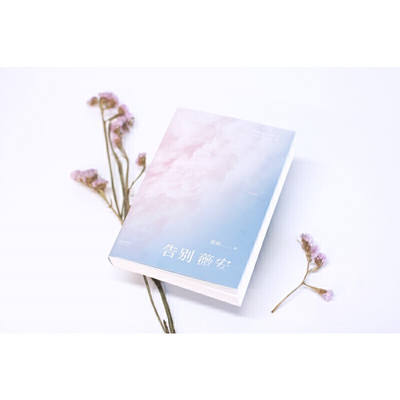 微瑕 告别薇安  庆山(安妮宝贝) 《七月与安生》原著小说集