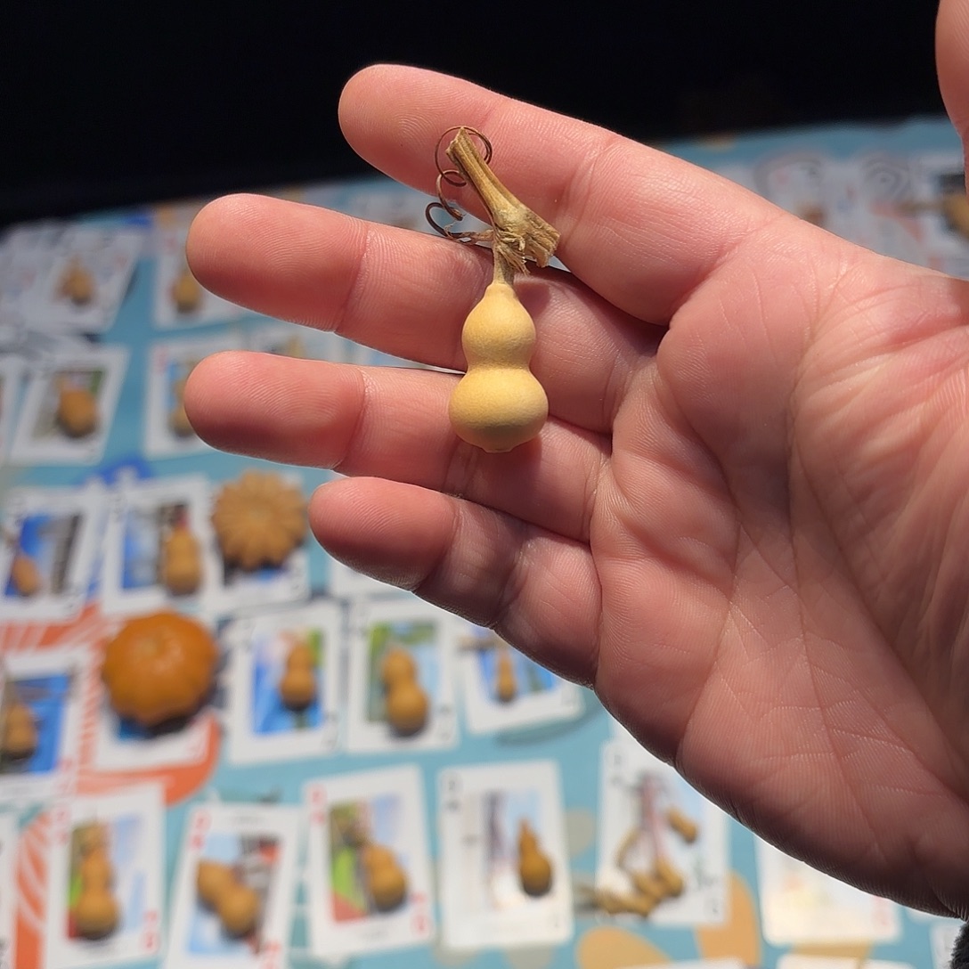 R***a哈哈哈哈哈哈哈哈哈哈哈