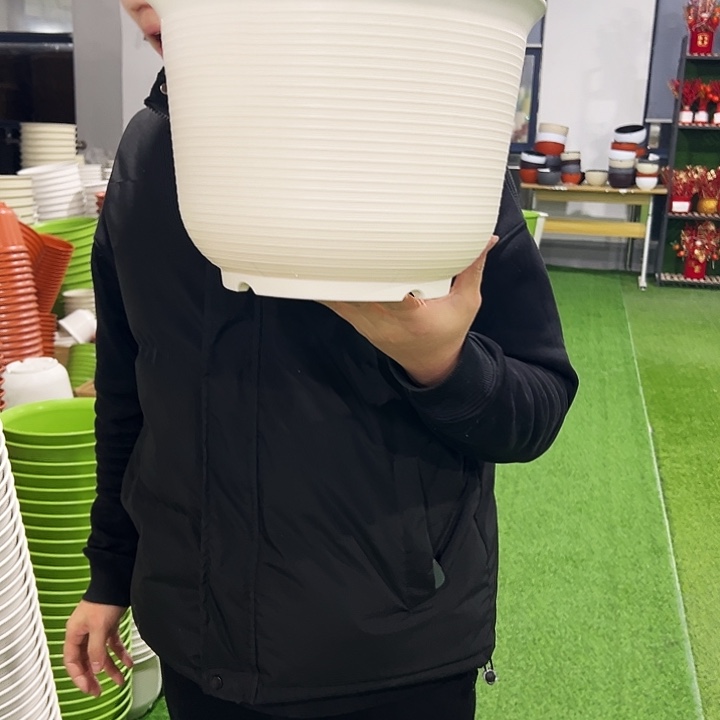 正品矮陶口30高22白色5只无托