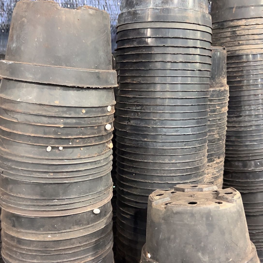 矮胖盆15口径9.5高 45个