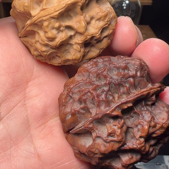 文玩核桃把件七彩皇冠44mm