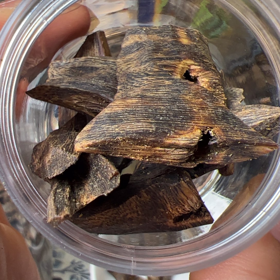 沉香沉香碎屑奇楠金沙叶高端老块料20克