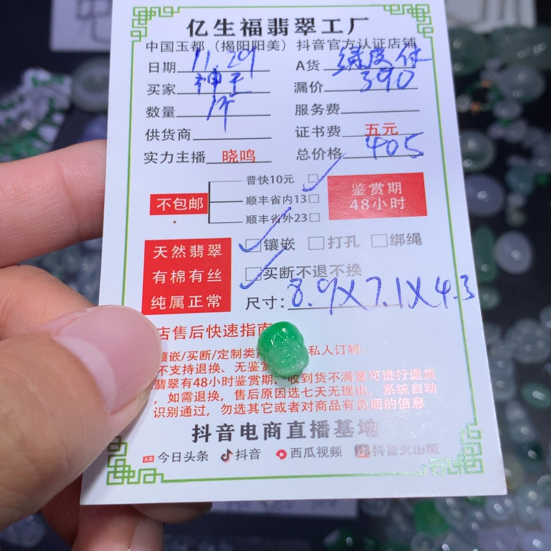 神***王翡翠未镶嵌颈饰绿貔貅