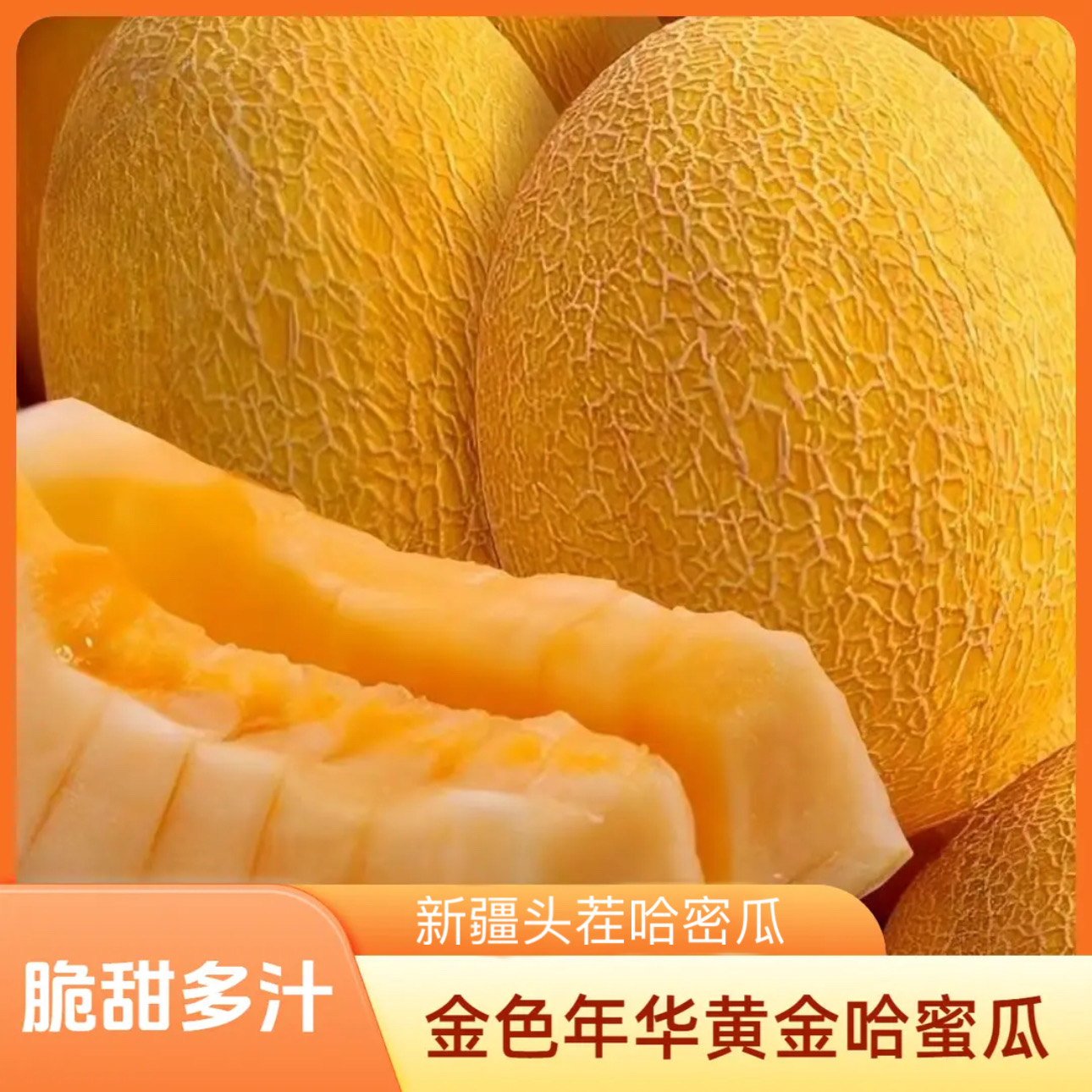 最美新疆金色年华蜜瓜哈密瓜新鲜应季水果【现摘现发】Z