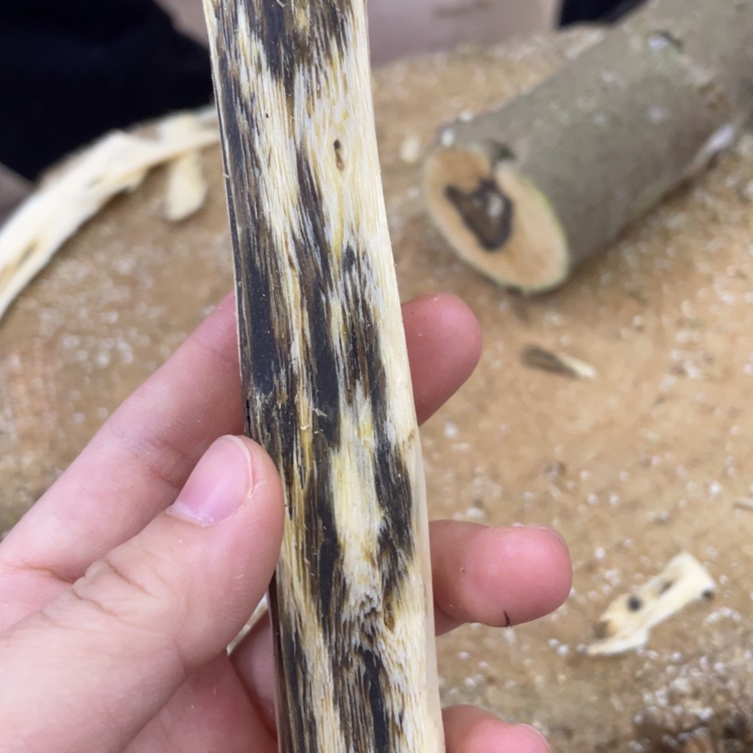 沉香沉香枕奇楠沉香沉香木碎屑 文创1