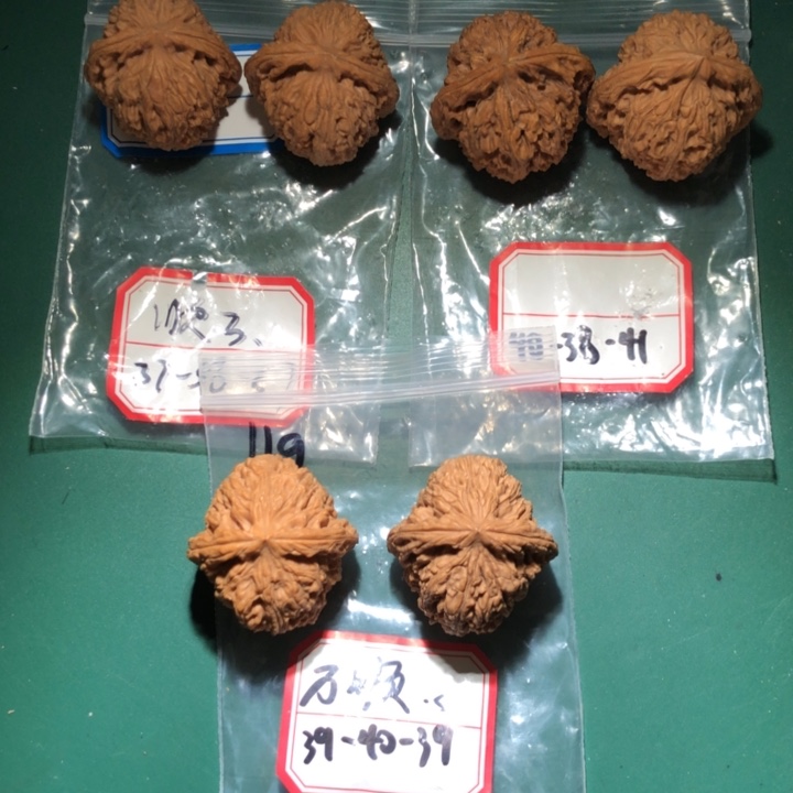 文玩核桃吊坠南疆46