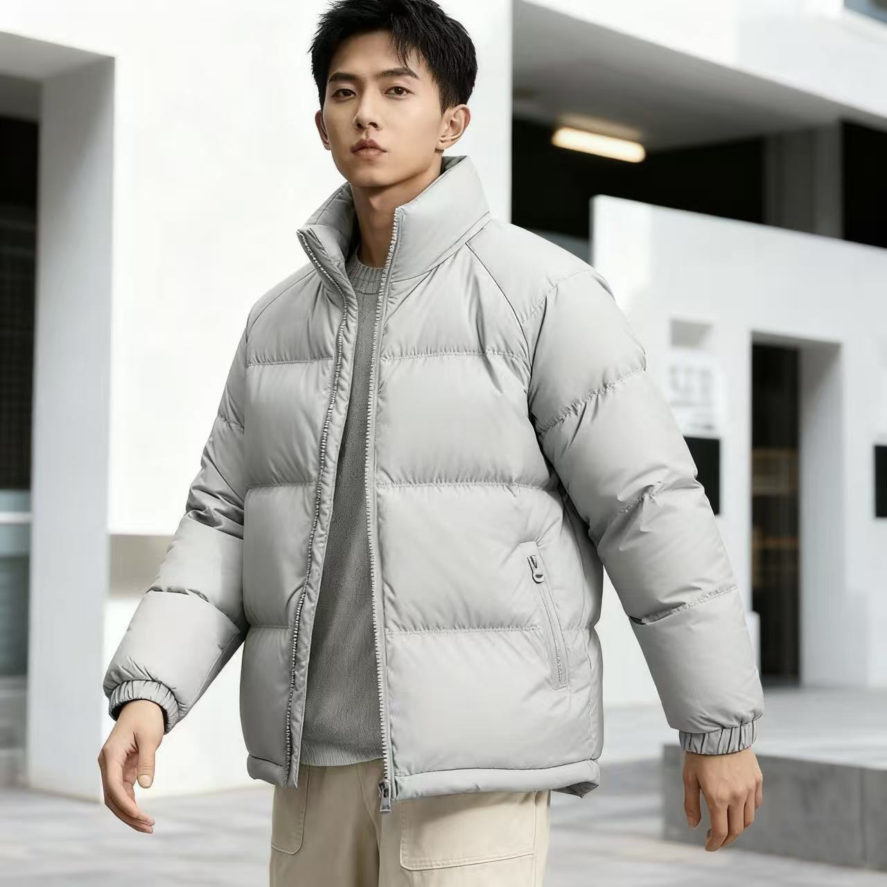 2025冬季新国标男士鸭绒加厚休闲保暖宽松百搭羽绒服立领外套男