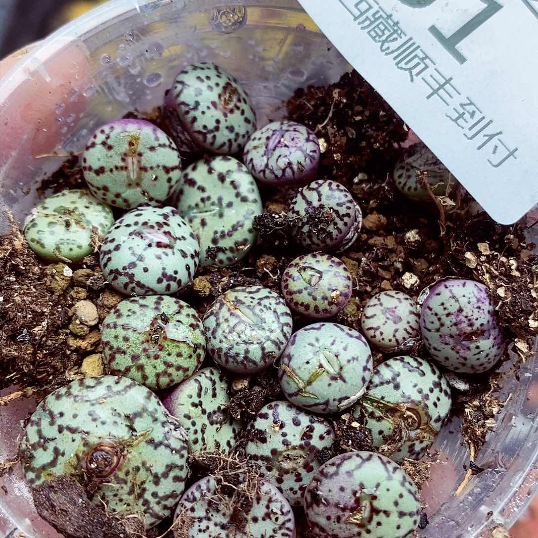 我们就能一起吃饭聊天的啦151