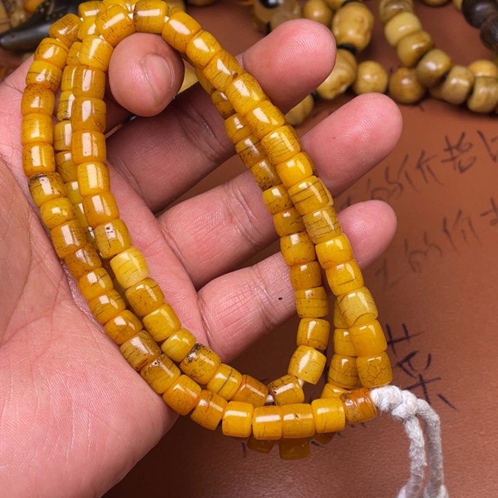 驼骨其他人工养殖