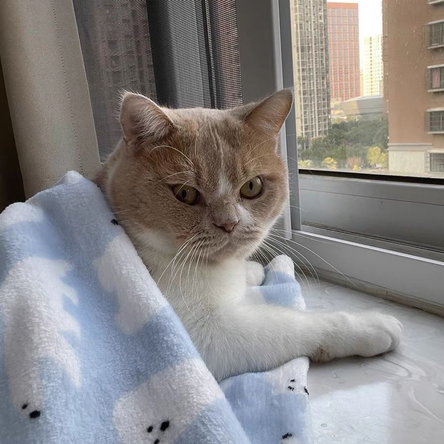 下单默认微瑕疵布头双面法兰绒牛奶绒珊瑚绒北极绒睡衣睡裤面料