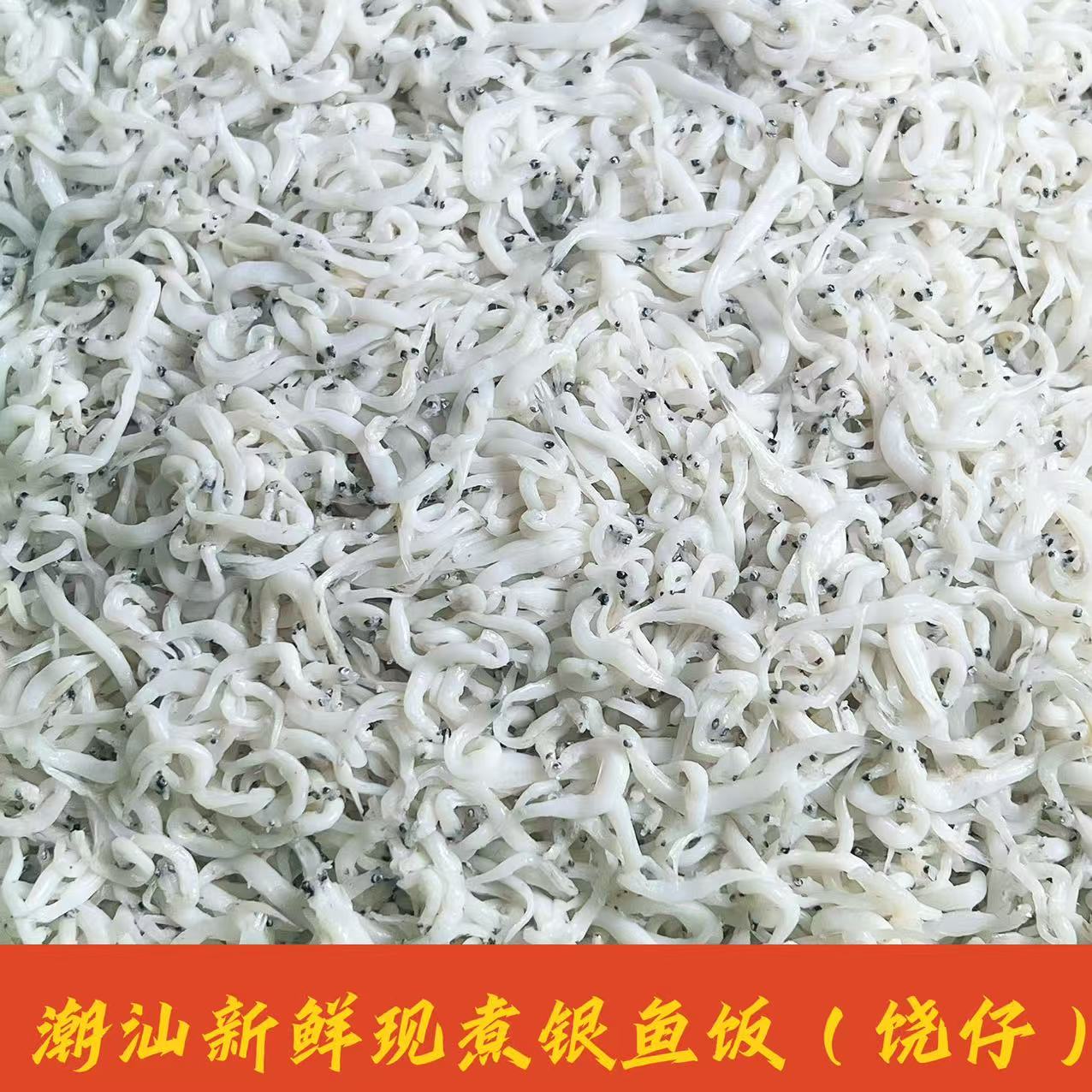 潮汕新鲜现煮银鱼饭（绕仔 白饭）