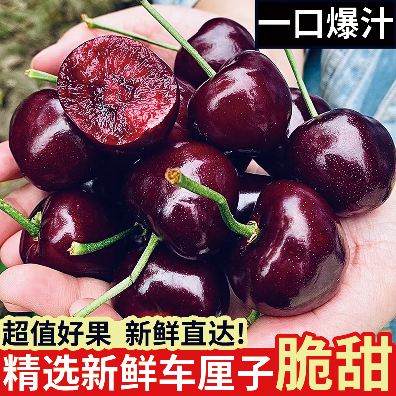智利进口海运车厘子新鲜水果礼盒装2J-4J樱桃内附果径卡H1