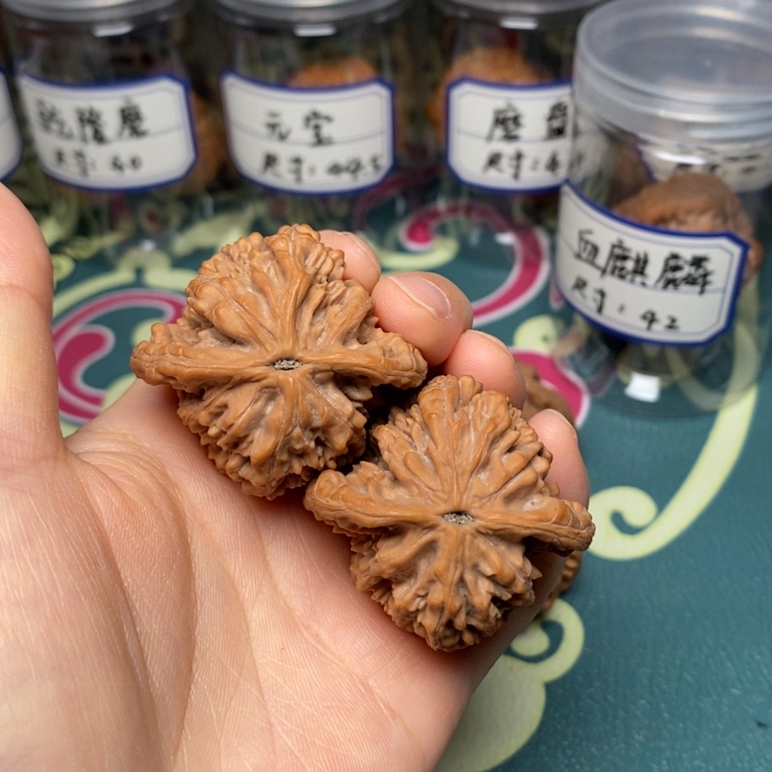 核桃43尺全品麦穗虎头