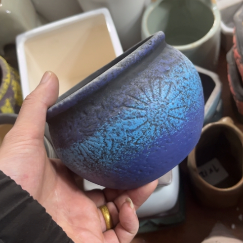 ［所有订单凑满15包邮］10+8