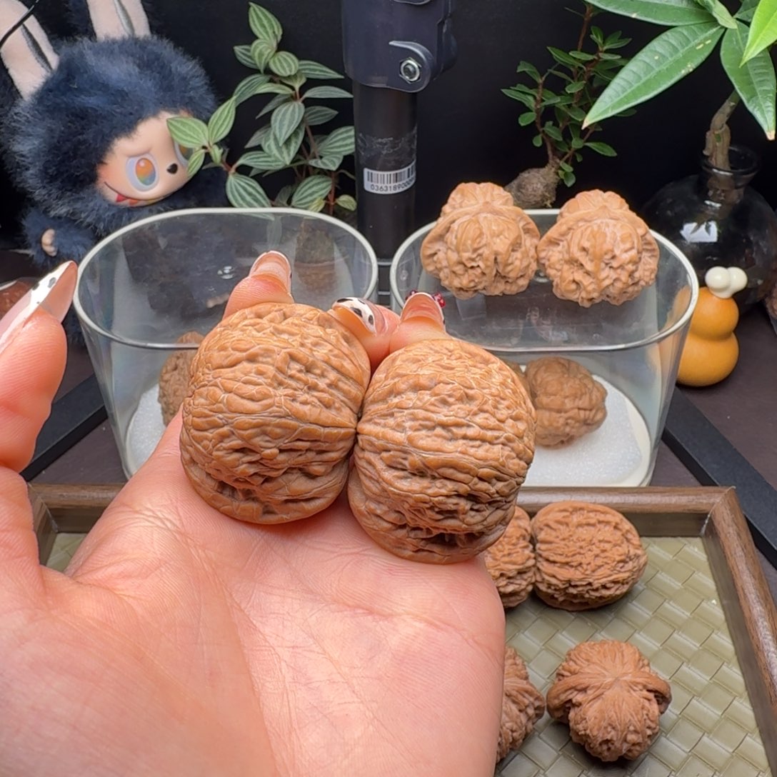 把件龙脊菩提全品铁锤41