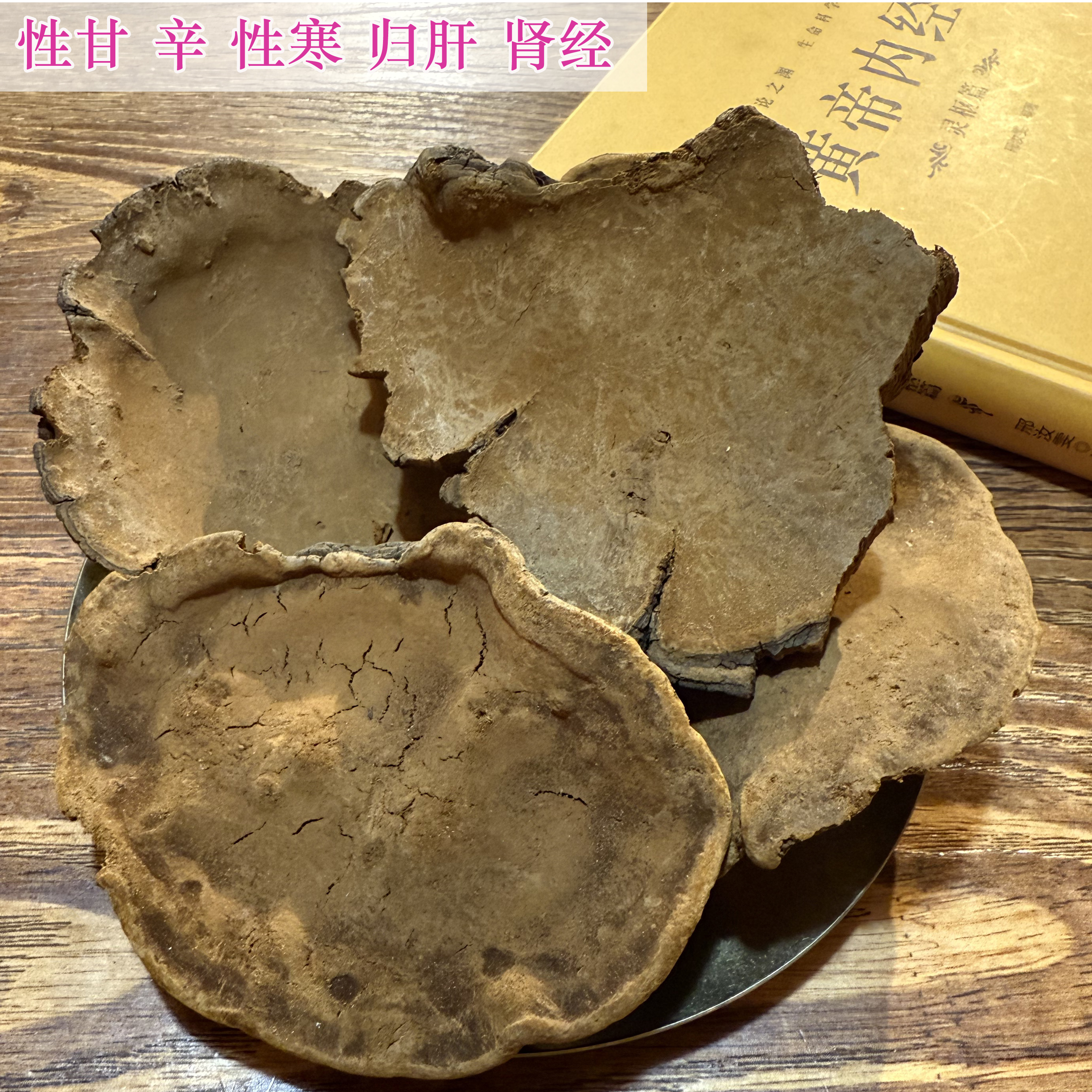 张正堂自然之道--【桑黄】