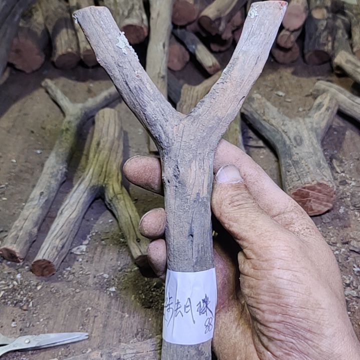 徒***球火琉璃原杈不保沉水慎拍！