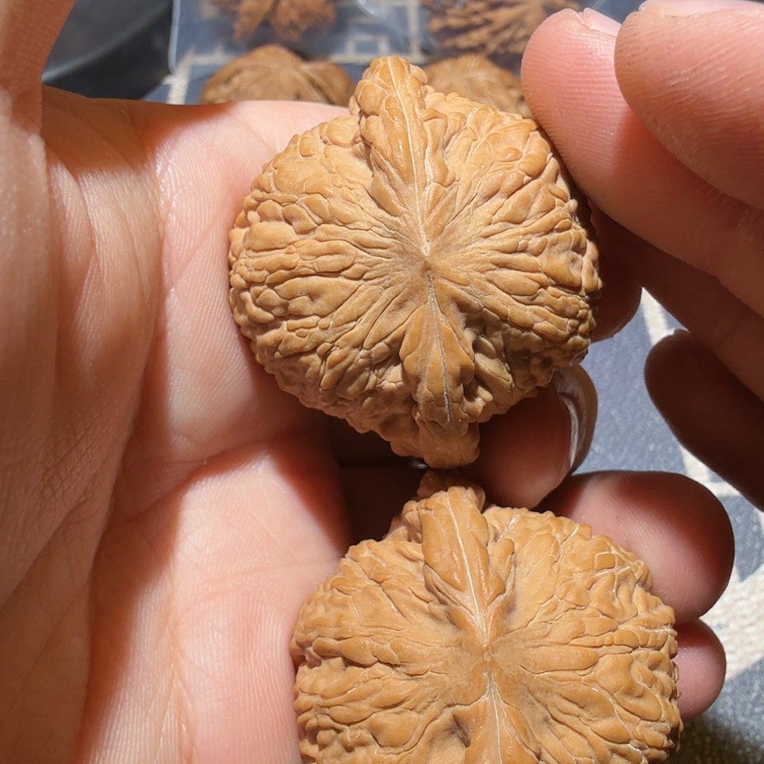 文玩核桃把件泥鳅