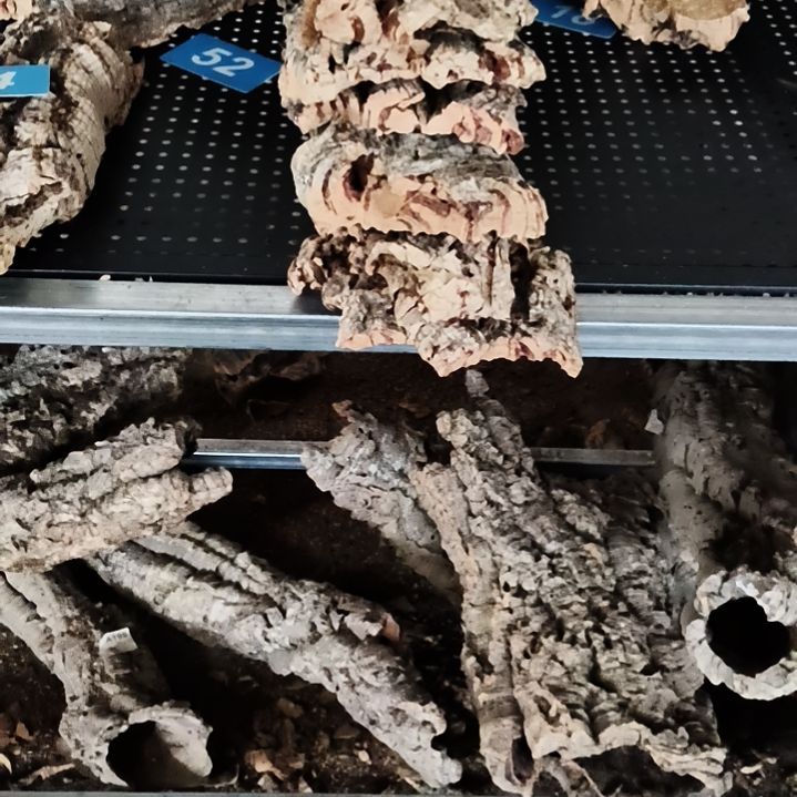 完全开放顺顺利利，平平安安