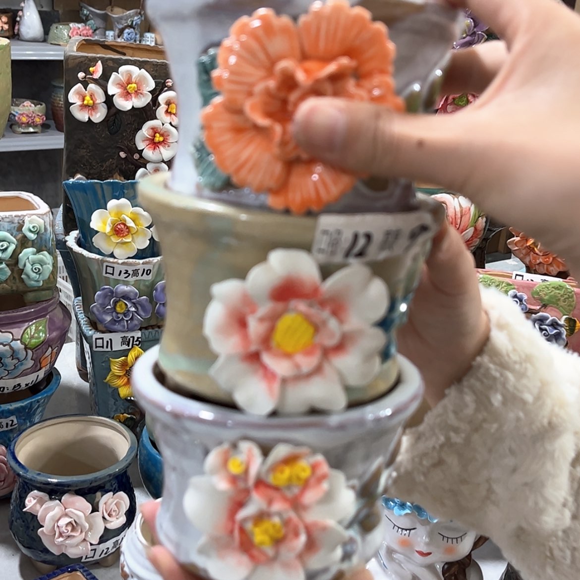 【闪购商品】红陶福利