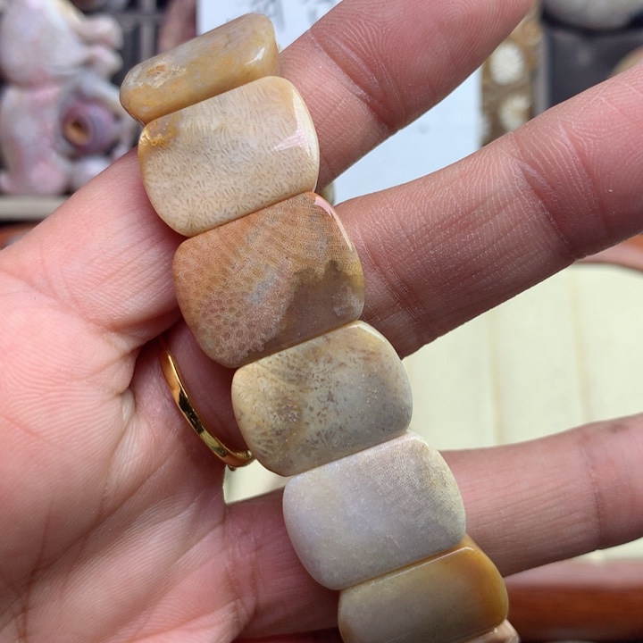 硅化珊瑚（珊瑚玉）颈饰未镶嵌