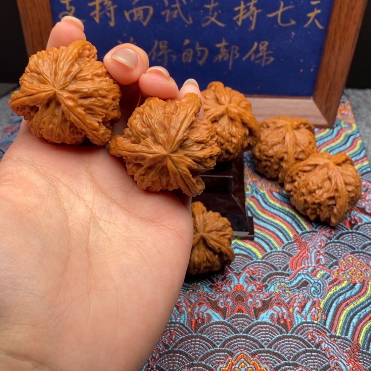 【闪购商品】彬*白狮