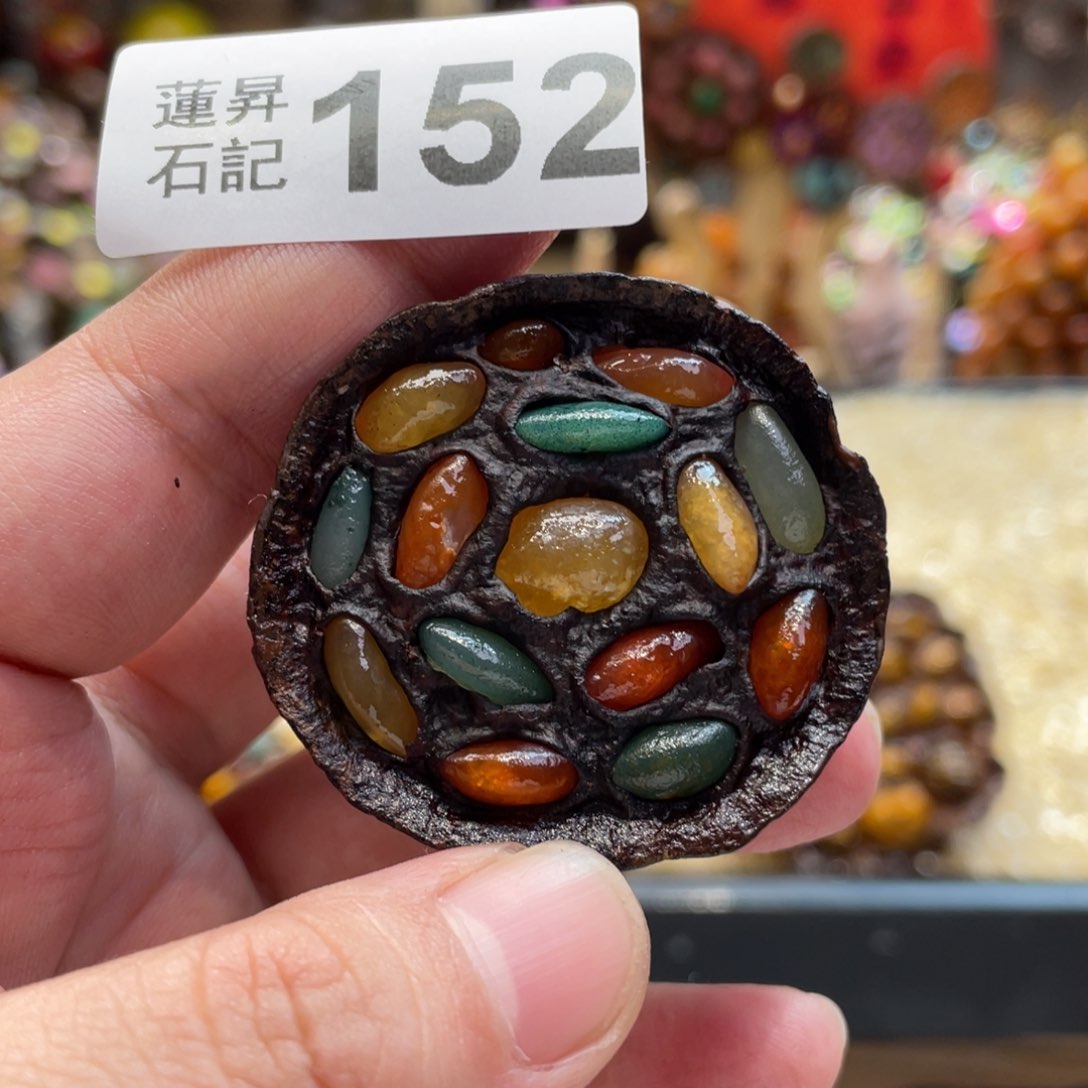 核桃木/黑胡桃（胡桃木）152