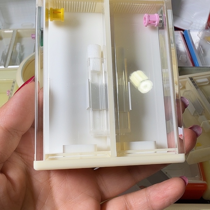 蟋蟀哈哈哈哈哈哈哈哈哈哈哈