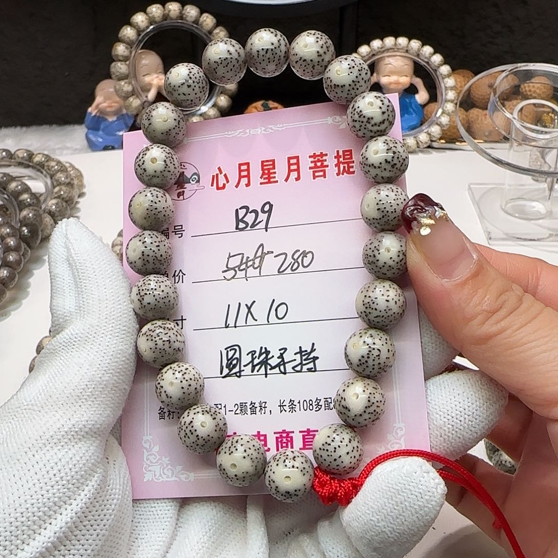 心月星月菩提一号B29