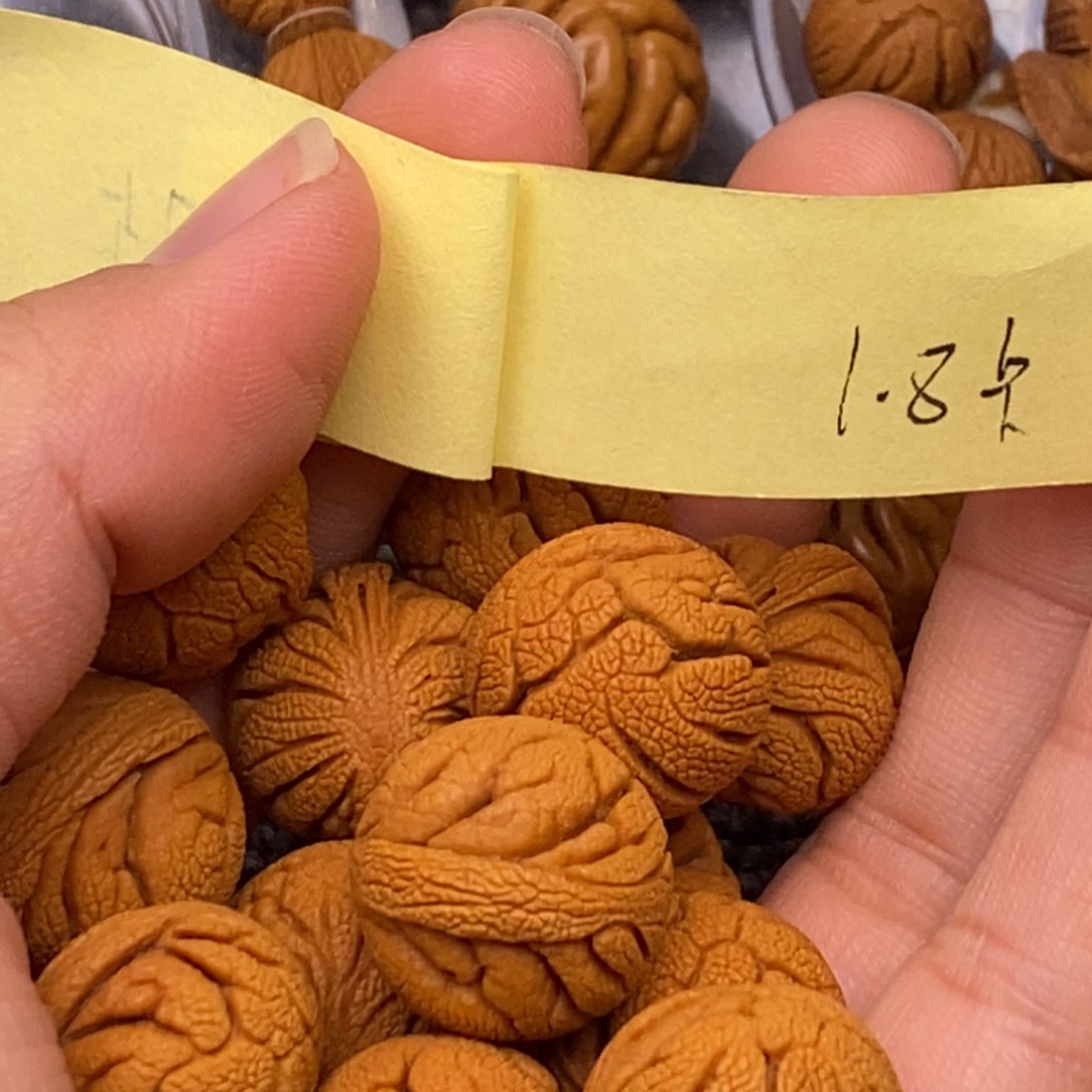秦岭山脉龙纹桃核 14