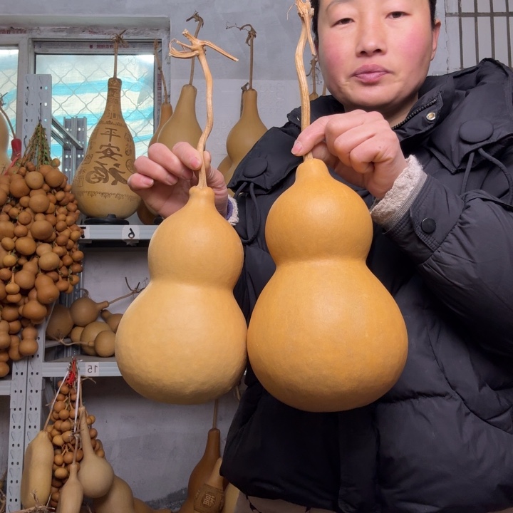 星***星葫芦天然植物葫芦文玩