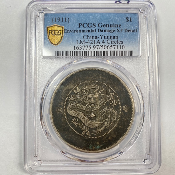 大老黑云南大困龙/精品收藏/57110