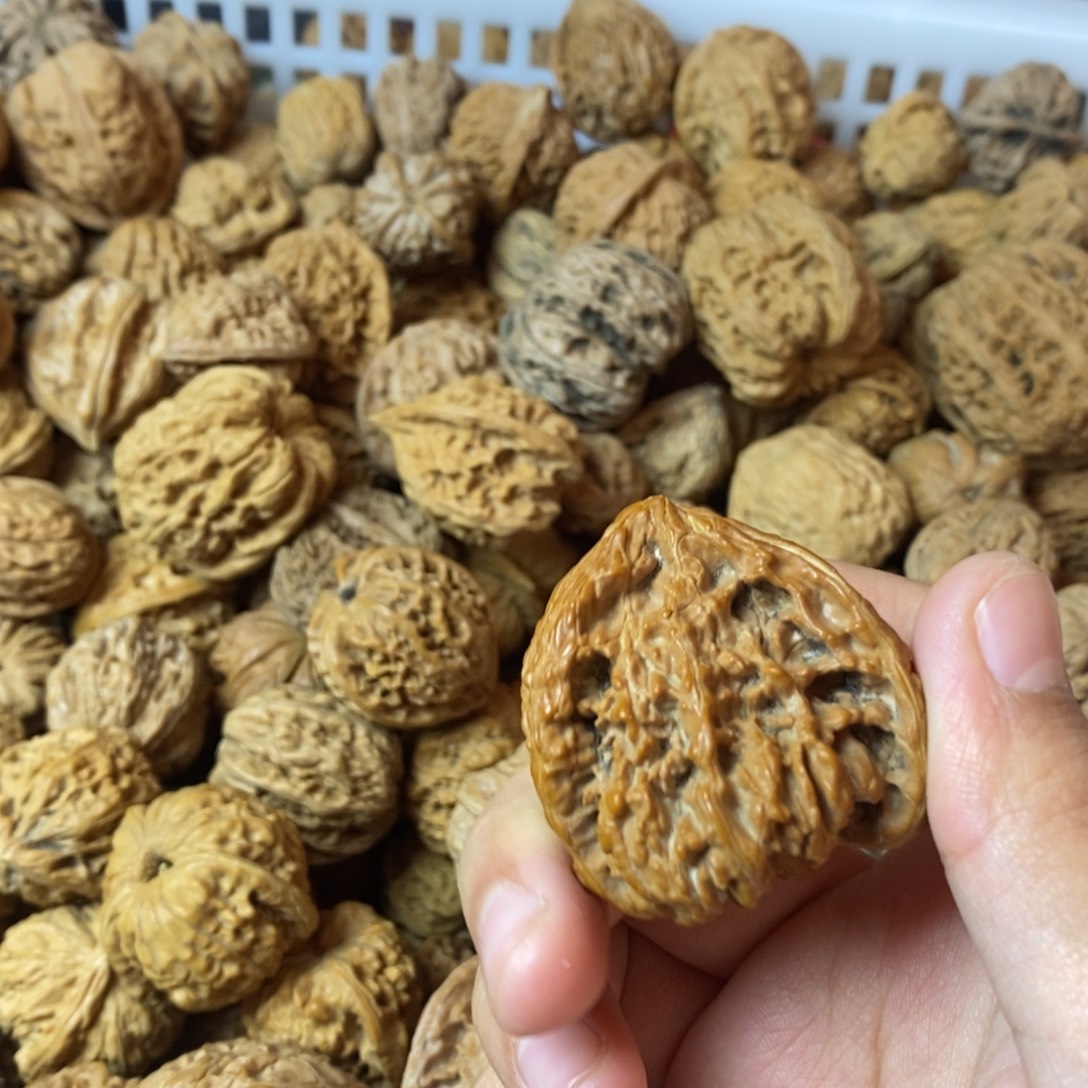 问***林大叶紫檀（黑酸枝木类）