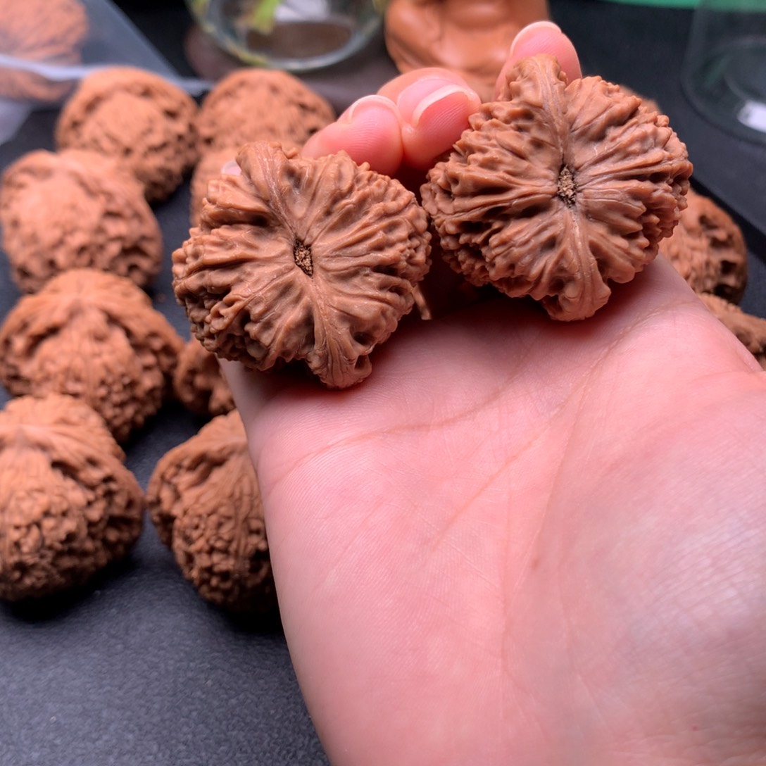 可***乐核桃手串/手链南疆38