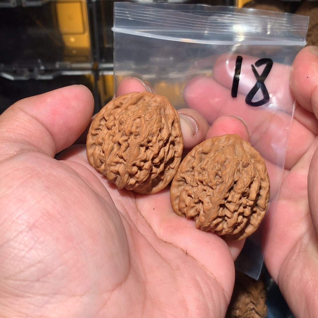 文玩核桃吊坠九仙庙四眼虎 