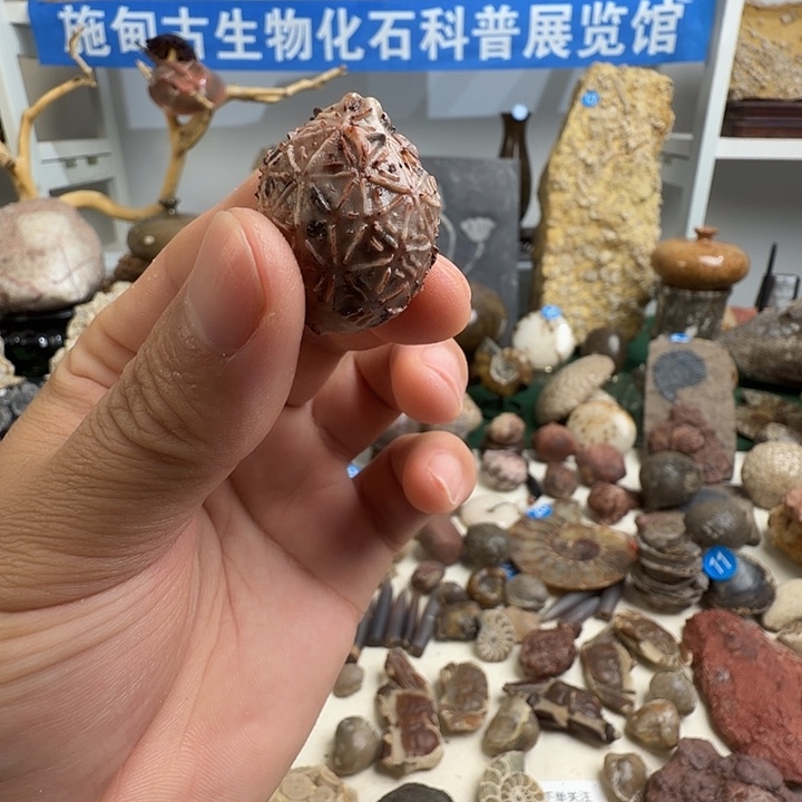 玉家居摆件家居标本
