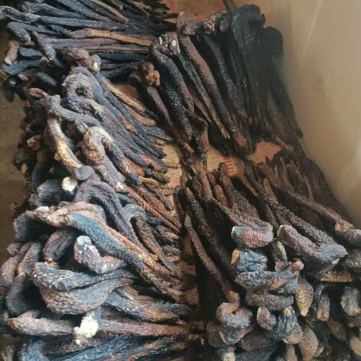 阿拉善沙漠原生态特产