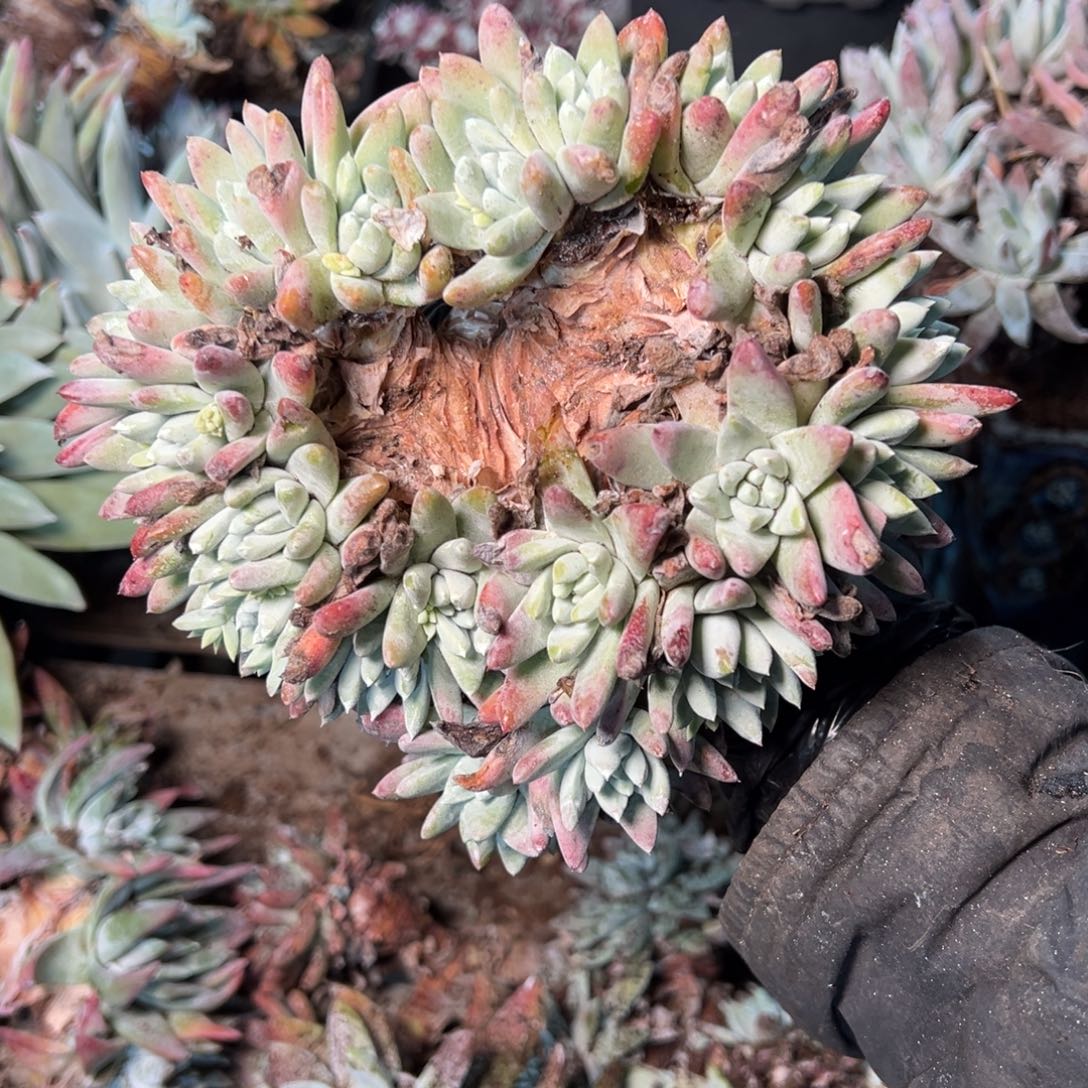 8848哈哈哈哈哈哈哈哈