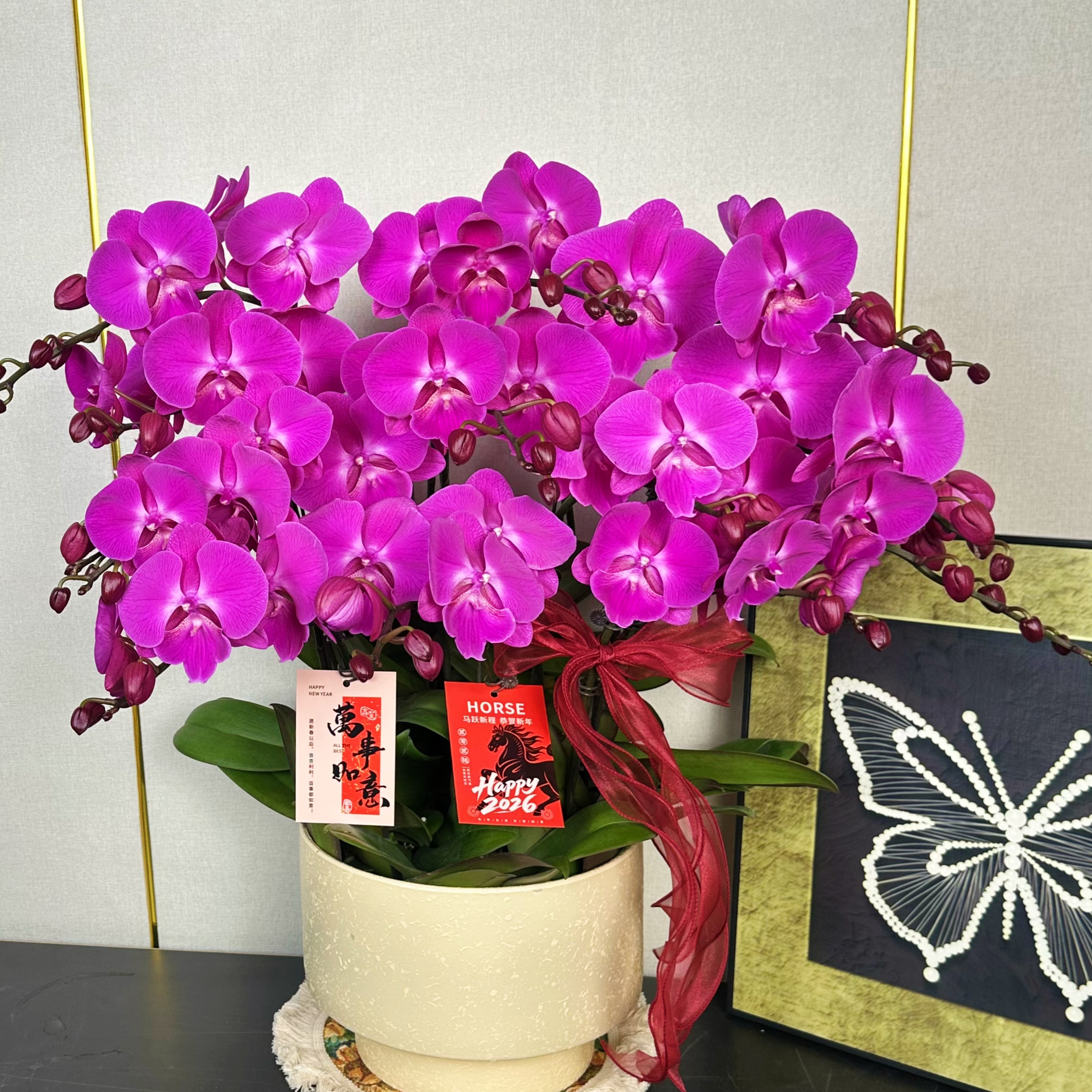 南汐蝴蝶兰【喜上喜】乔迁之喜 开业送人带花基地直发