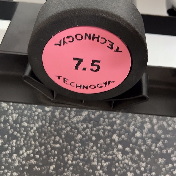 全新纯钢泰诺哑铃7.5公斤一对灰色