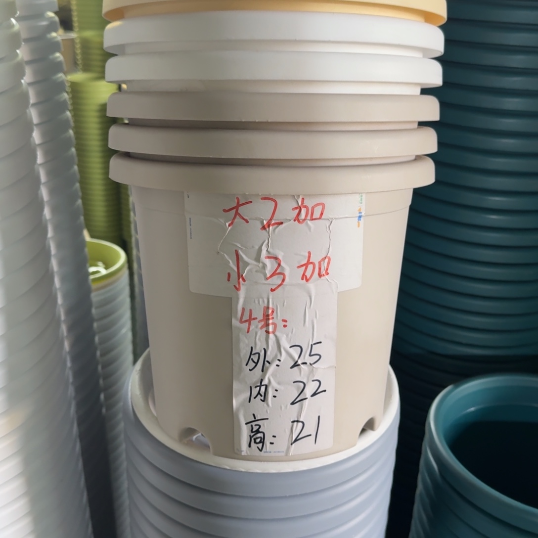 四季4#口径25无拖果绿8个