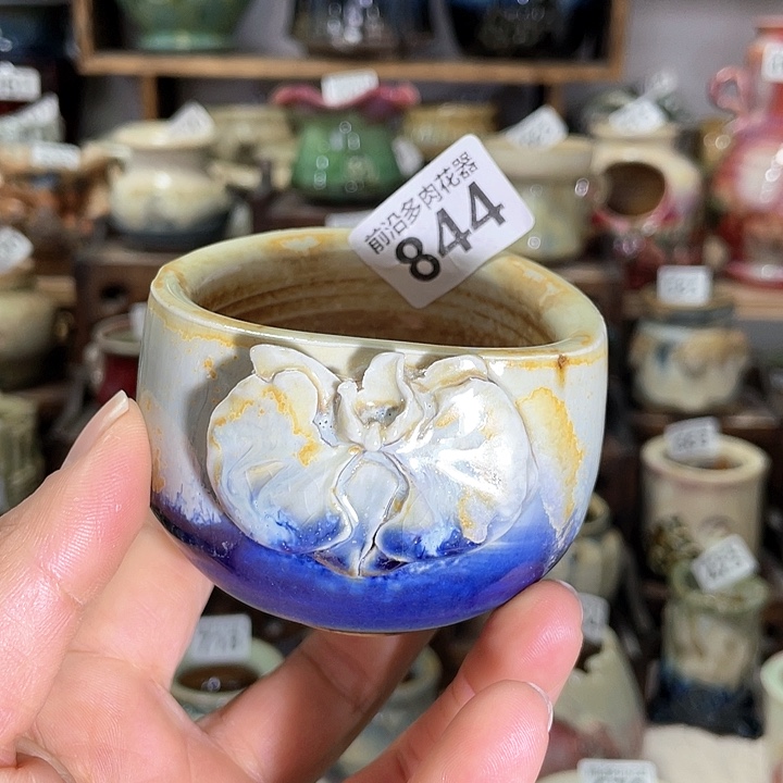 红陶内口径6高度6