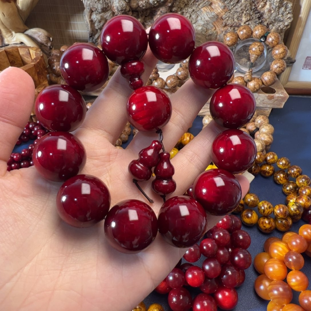 朱***波血龙木（贝壳杉）2.0血龙木